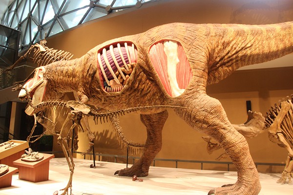 14749534339431848D1q.jpg 05.jpg